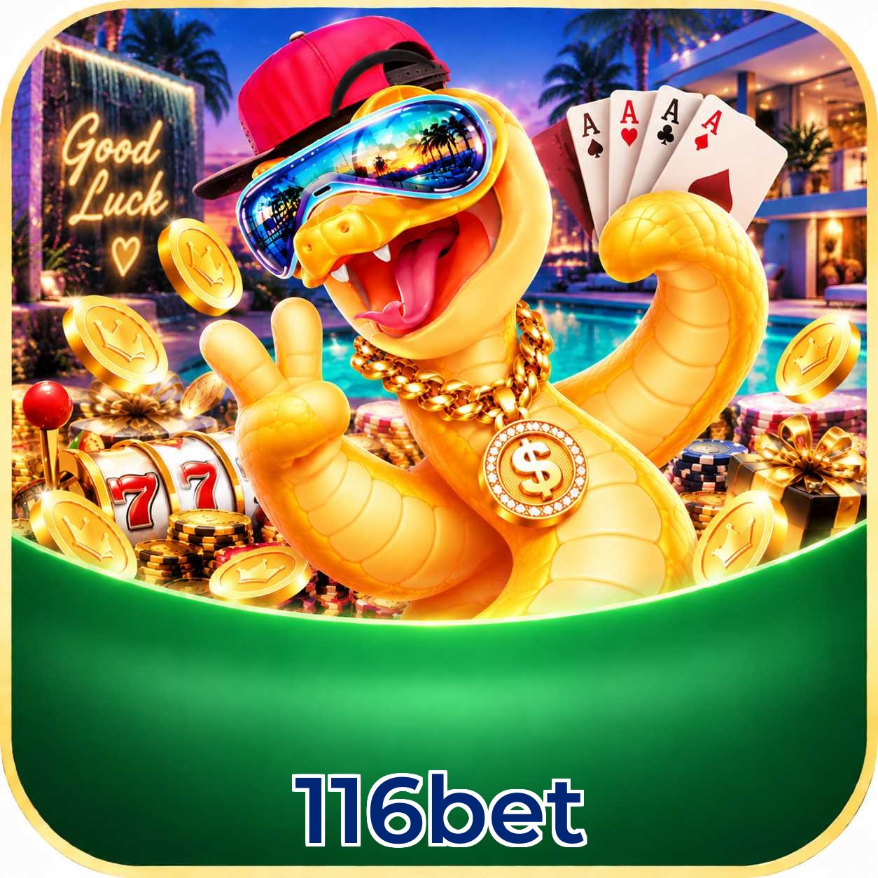 116bet Interface