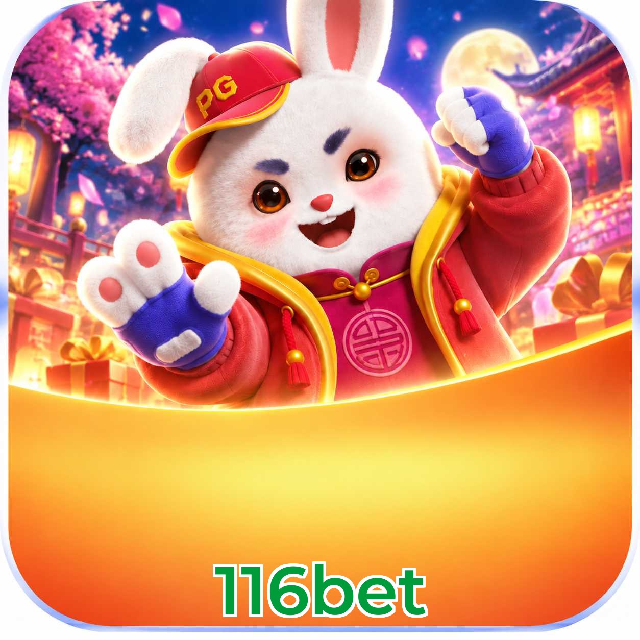 116bet Security Analysis