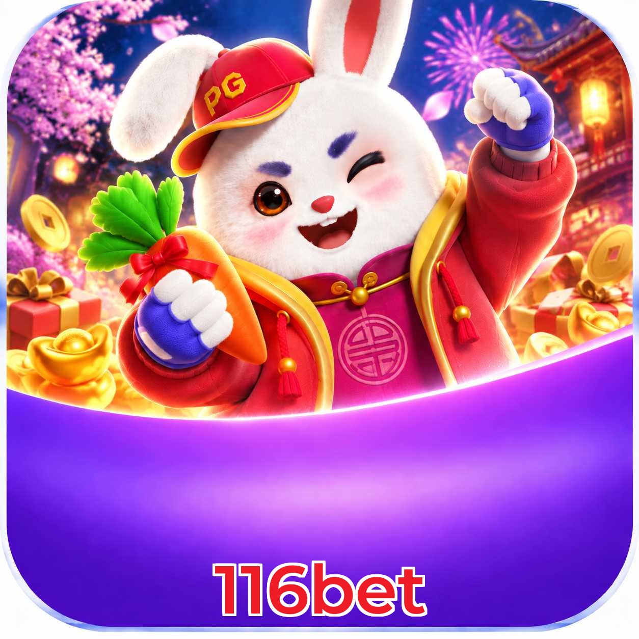 116bet Logo